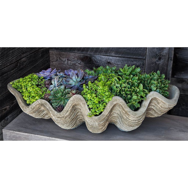Campania South Seas Shell Planter, Large – W-106